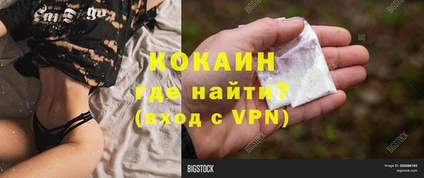 ГАЛЛЮЦИНОГЕННЫЕ ГРИБЫ Горняк