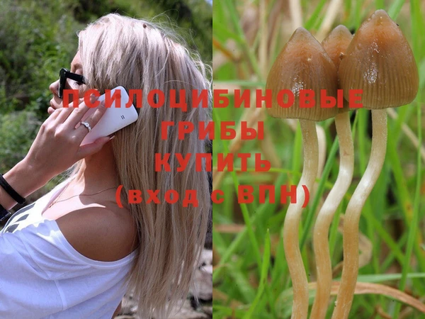 ГАЛЛЮЦИНОГЕННЫЕ ГРИБЫ Горняк