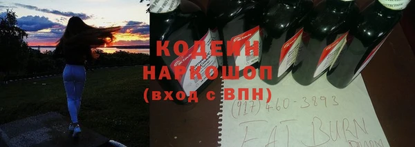 ГАЛЛЮЦИНОГЕННЫЕ ГРИБЫ Горняк