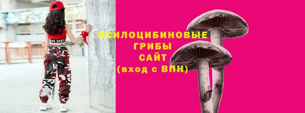ГАЛЛЮЦИНОГЕННЫЕ ГРИБЫ Горняк