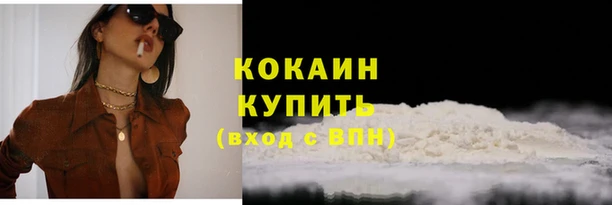 ГАЛЛЮЦИНОГЕННЫЕ ГРИБЫ Горняк