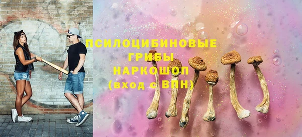ГАЛЛЮЦИНОГЕННЫЕ ГРИБЫ Горняк