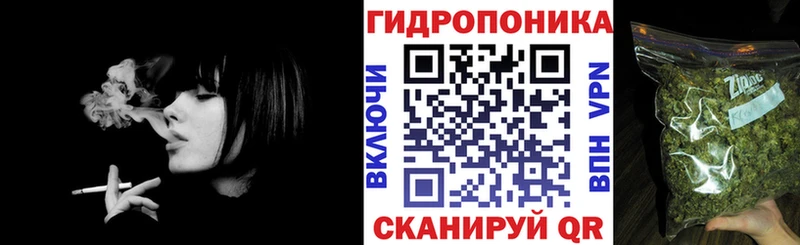 Шишки марихуана Bruce Banner  Купить закладки  Алушта 